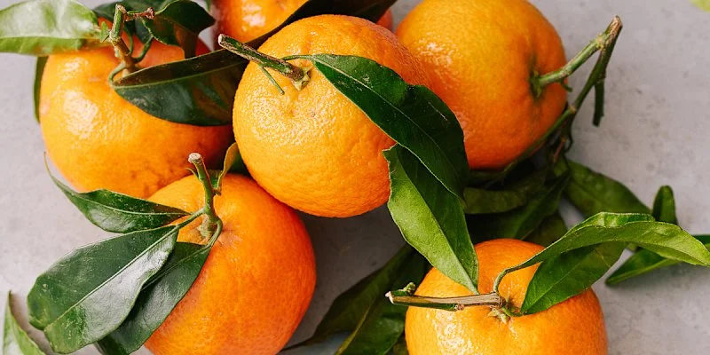 Продукты, снижающие риск диабета: исследование о полифенолах
